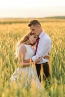 Bride and groom in a wheat field. The couple hugs during sunset photo