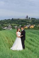 Bride and groom in a wheat field. The couple hugs during sunset photo