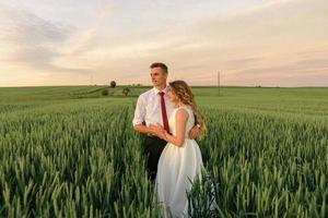 Bride and groom in a wheat field. The couple hugs during sunset photo