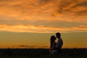 novia y novio en un campo de trigo. la pareja se abraza al atardecer foto