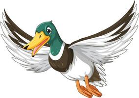 Duck with green head cartoon character vector