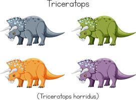 triceratops en cuatro colores vector