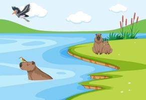 Capybara living in the nature pond vector