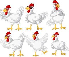 conjunto de diferentes pollos de granja en estilo de dibujos animados vector