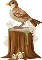 Sparrow standing on stump vector