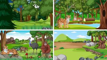 Different forest scenes with wild animals vector