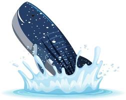 A water splash with whale on white background vector