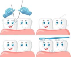 Set of all types of teeth on white background vector