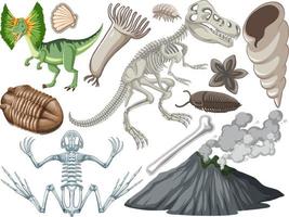 Set of different prehistoric dinosaur animal vector