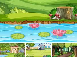 Nature scene with many trees and pond vector