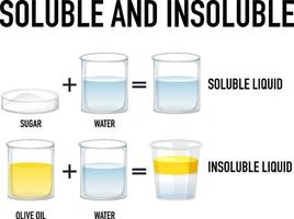 experimento científico soluble e insoluble vector