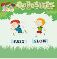 Opposite words for fast and slow vector