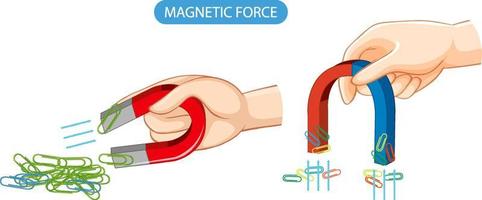 fuerza magnética con imán y clips vector