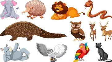 Set of different wild animals cartoon characters vector