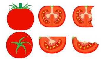 Tomato vegetarian natural isolated harvest vector. Summer food nature red vegetable cooking. Tasty illustration vegan fresh organic background. Plant icon cartoon color object. Product set view vector