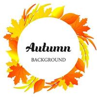 Autumn background natural colorful plant decoration fall leaves art. Graphic floral holiday outdoor element template. Flower branch vector flat fashion. Abstract foliage banner border.