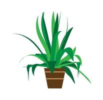 Indoor pot plant home vector. Floral green cartoon interior icon. Summer flower room graphic illustration. Office decoration small flowerpot isolated. Flat art exotic nature vase. Furniture drawing vector