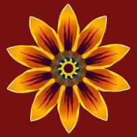 Large bright orange daisy flower or gazania on dark red background. Isolated vector illustration.