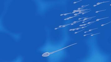The sperm fertility from men's cum is directed towards the egg bubble after sex. To do human mating. A pre-fertilization model between an egg and a sperm. 3D Rendering