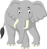 Cartoon elephant isolated on white background vector