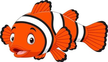 750+ Clown Fish Drawing Stock Illustrations, Royalty-Free Vector