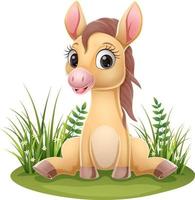 Cartoon baby horse sitting in the grass vector