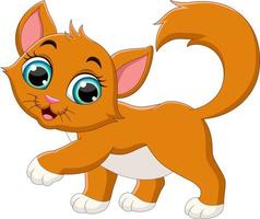 Cartoon funny cat isolated on white background vector