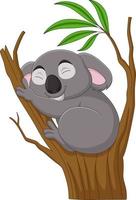 koala de dibujos animados durmiendo en una rama de árbol vector