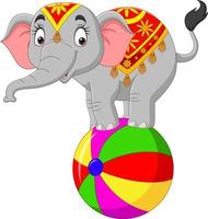 Cartoon funny circus elephant balancing on ball vector