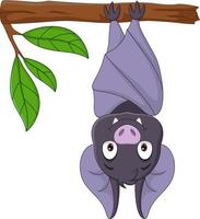 Cartoon cute bat hanging on the branch vector