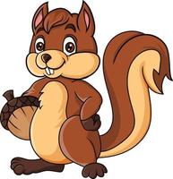 Cartoon squirrel holding a nut vector