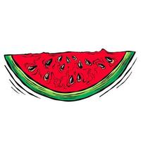 Hand drawn sketch with watermelon vector