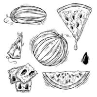 Hand drawn sketch with watermelon vector