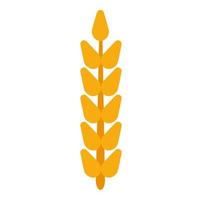 Field grain ear wheat vector. Harvest farm bread rye agriculture food. Cereal barley isolated background plant. Crop icon golden corn illustration logo. Yellow straw beer stem vector
