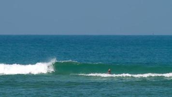 ondas no recife de coral video