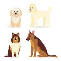 Dogs collection. Mini poodle, collie, german shepherd dog and maltipoo. vector