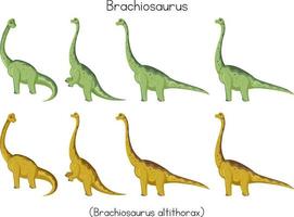 Brachiosaurus in different posts vector