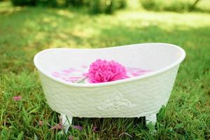 Baby bath and peony flowers. pink peonies. children's bath on green background. photo