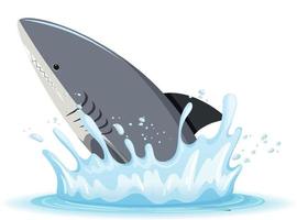 A water splash with shark on white background vector