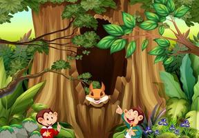 escena con monos y ardillas en el bosque vector