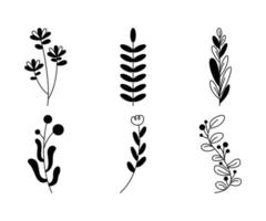 bunch of flowers and leaves, floral decoration vector illustration