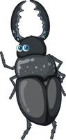 A beetle cartoon character isolated vector