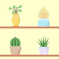 Set of decorative pot and plants vector illustration with light and dark background