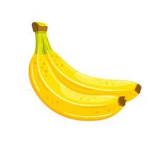 plátanos amarillos aislados en un fondo blanco vector