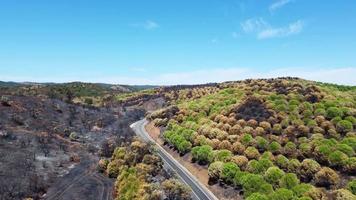 luchtfoto drone uitzicht op verbrand bos naast de weg. donker land en zwarte bomen veroorzaakt door brand. bosbrand. klimaatverandering, ecologie en land. video