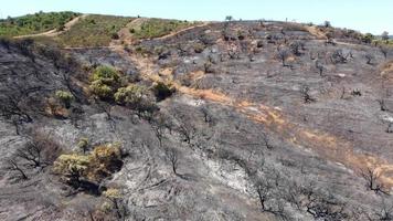 vista aérea de drones del bosque quemado al lado de la carretera. tierra oscura y árboles negros causados por el fuego. incendio forestal. cambio climático, ecología y suelo. video