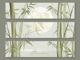 Elegant background set with bamboo hand drawn vector