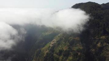 Luftdrohnenansicht, die über einen Wald mit Wolken fliegt. den tiefen Wald von oben mit vorbeiziehenden Wolken filmen. filmische Aufnahme. über den Wolken. entspannendes und nachdenkliches Gefühl. um die Welt reisen. video