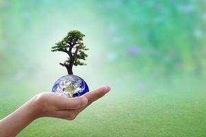 We love the world of ideas,World and tree in human hand on nature background. photo