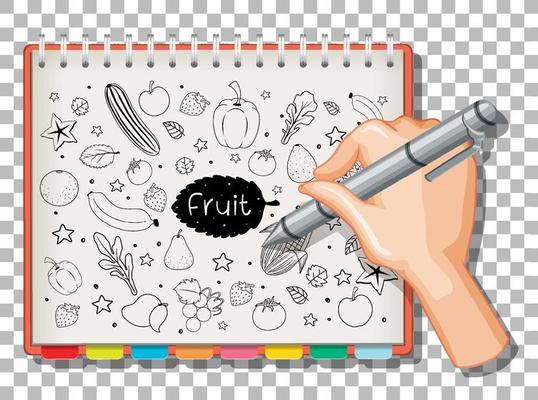 Hand drawn doodle of fruits